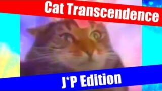 Thumbnail of post image 060