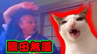 Thumbnail of post image 011